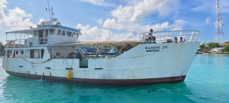 Randhi 24 Star Board 2