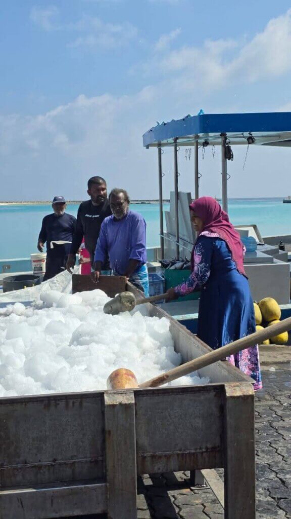 FB_IMG_1771833692616