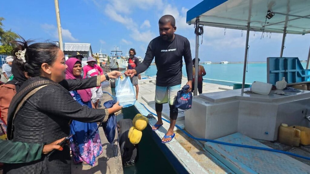 FB_IMG_1771833713503